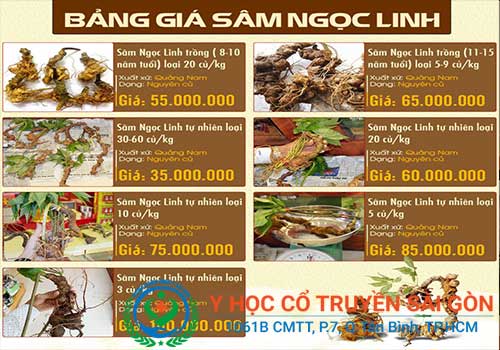 tổng hợp bảng giá sâm ngọc linh trên thị trường Việt Nam năm 2018